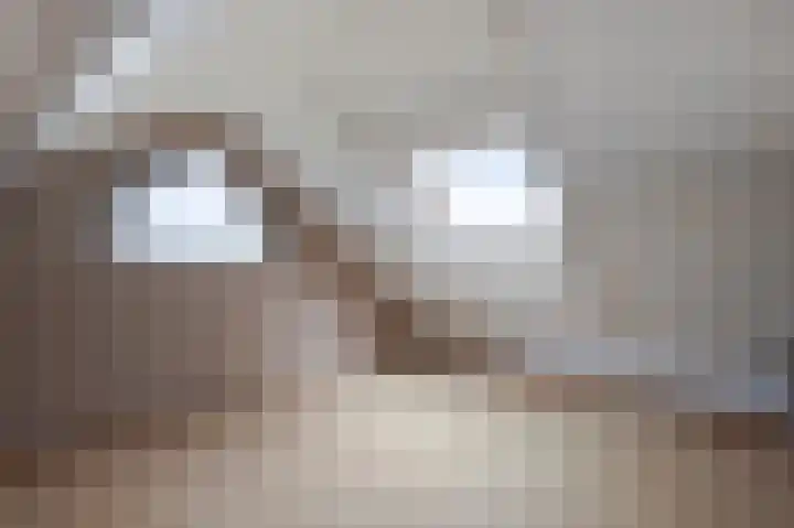 Graafland 31 Groot-Ammers thumbnail 32