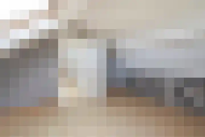 Graafland 31 Groot-Ammers thumbnail 33