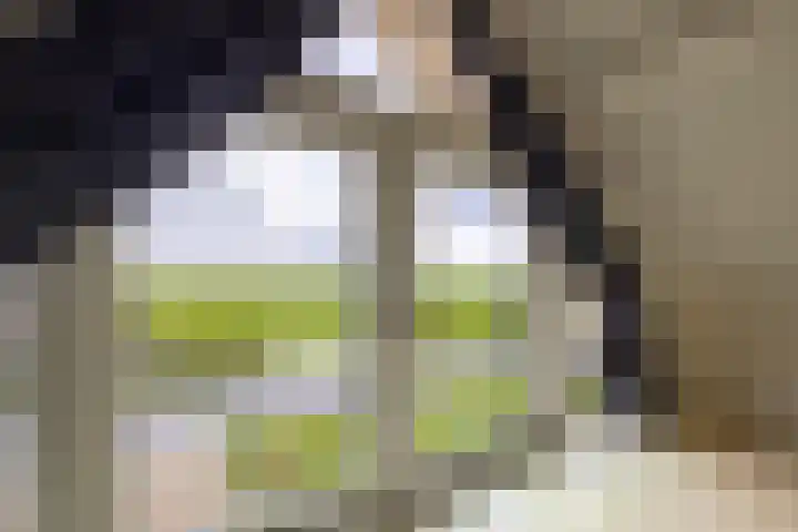 Graafland 31 Groot-Ammers thumbnail 35