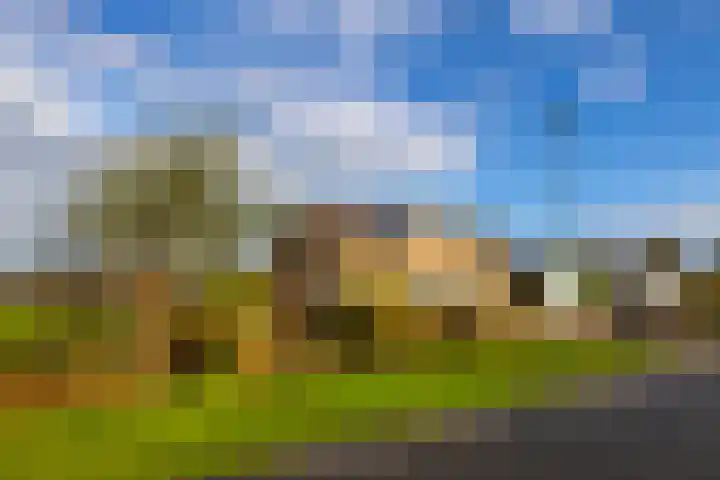 Graafland 31 Groot-Ammers thumbnail 40