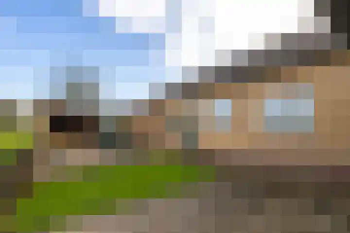 Graafland 31 Groot-Ammers thumbnail 42