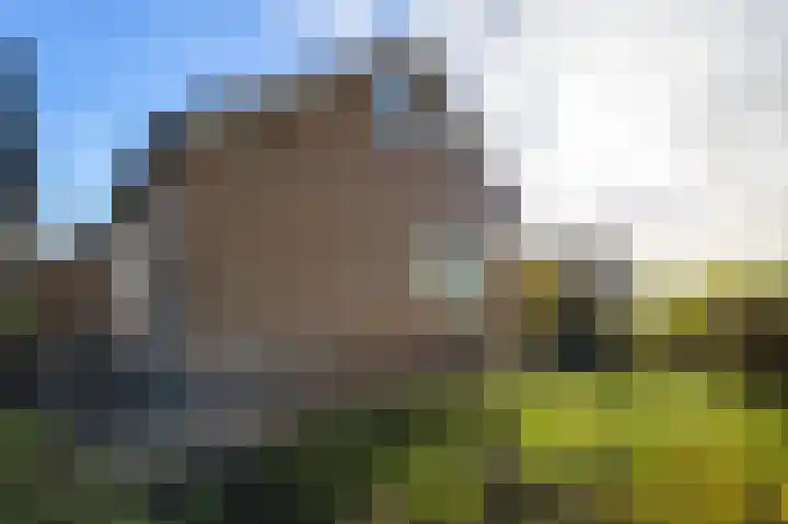 Graafland 31 Groot-Ammers thumbnail 43