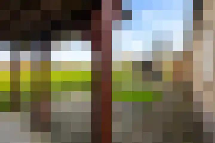 Graafland 31 Groot-Ammers thumbnail 44