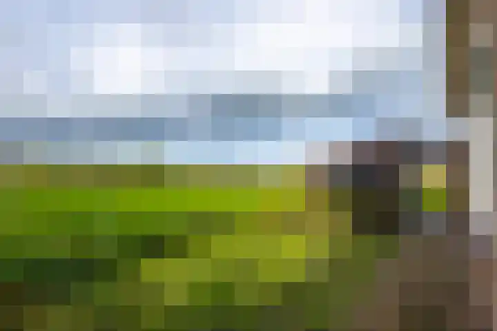 Graafland 31 Groot-Ammers thumbnail 45