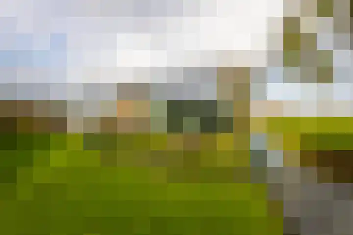 Graafland 31 Groot-Ammers thumbnail 46