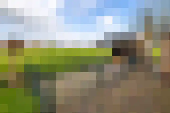 Graafland 31 Groot-Ammers thumbnail 47