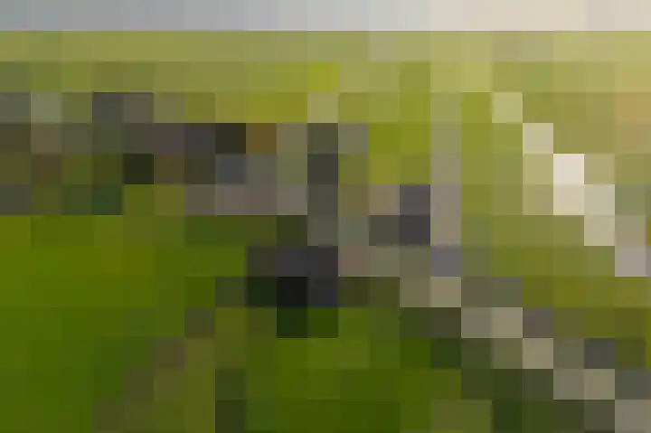 Graafland 31 Groot-Ammers thumbnail 50