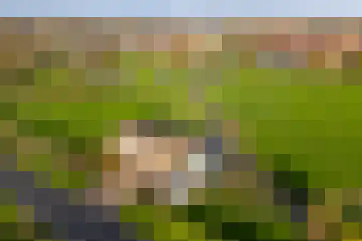 Graafland 31 Groot-Ammers thumbnail 52