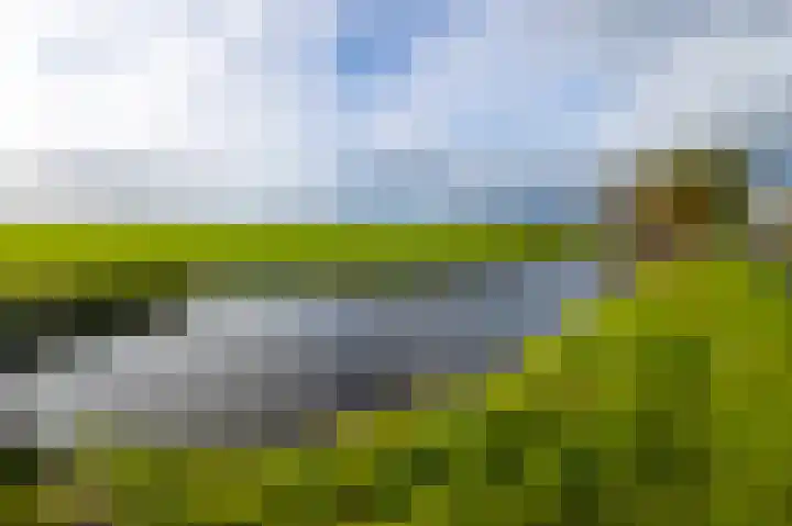 Graafland 31 Groot-Ammers thumbnail 53