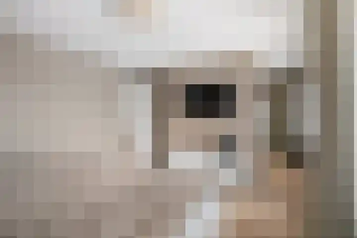 Graafland 31 Groot-Ammers thumbnail 54