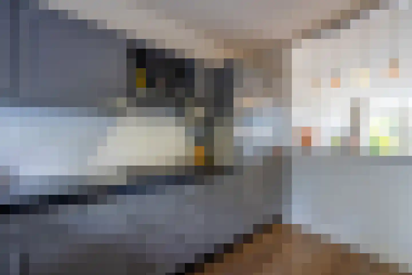 Graafland 37 Laren thumbnail 11