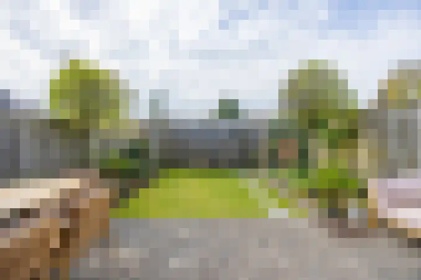 Graafland 37 Laren thumbnail 32