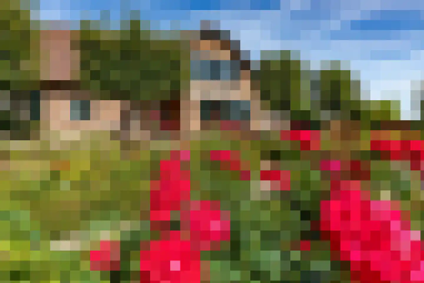 Graafland 51 a Groot-Ammers thumbnail 10