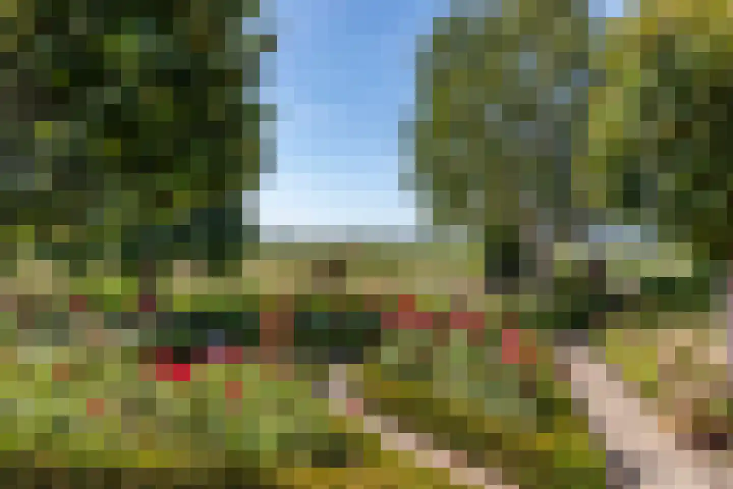 Graafland 51 a Groot-Ammers thumbnail 11