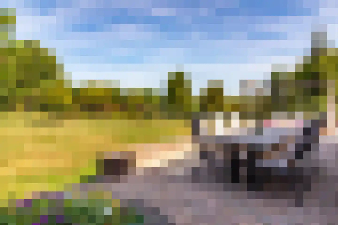 Graafland 51 a Groot-Ammers thumbnail 62