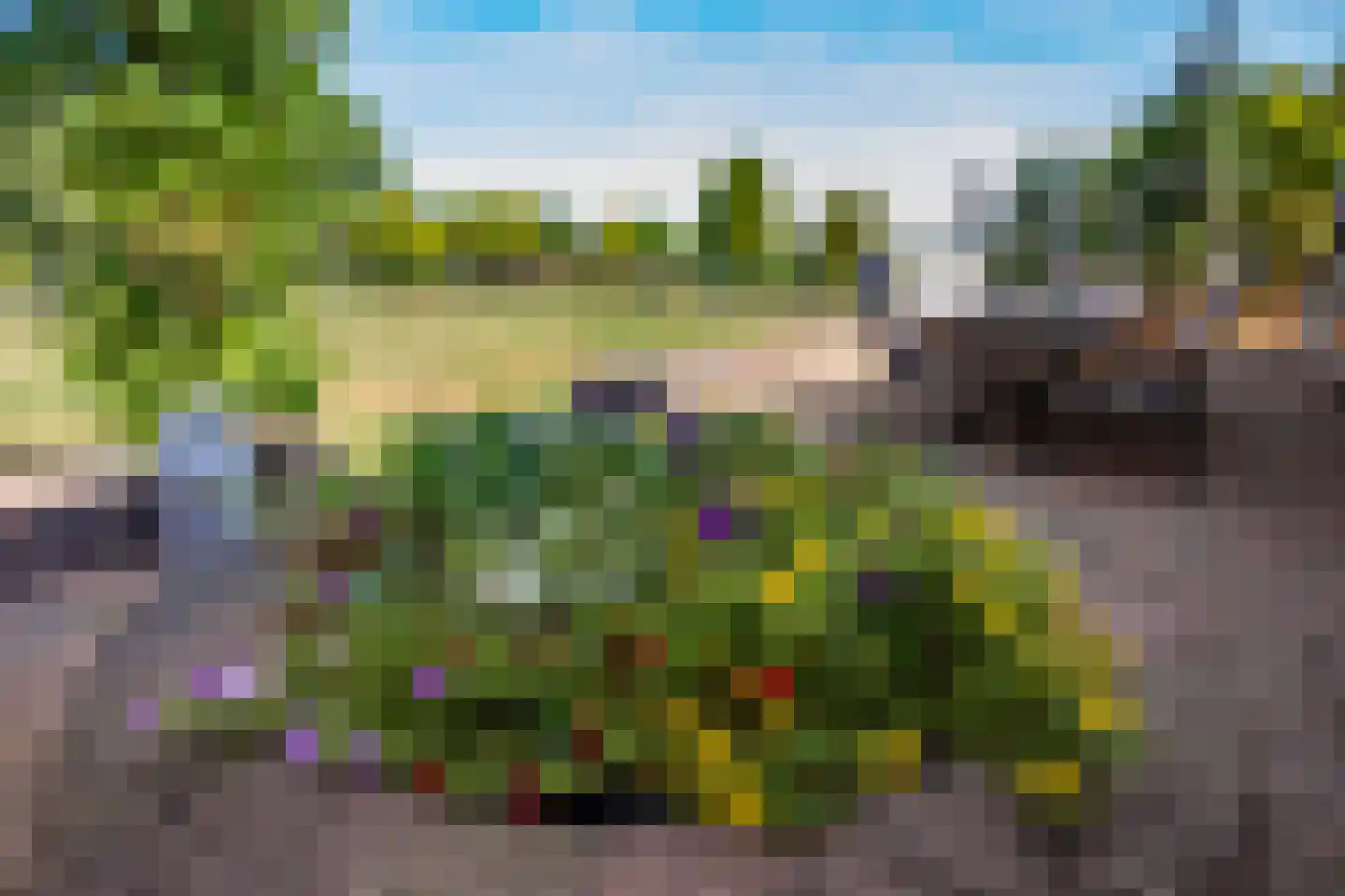 Graafland 51 a Groot-Ammers thumbnail 63