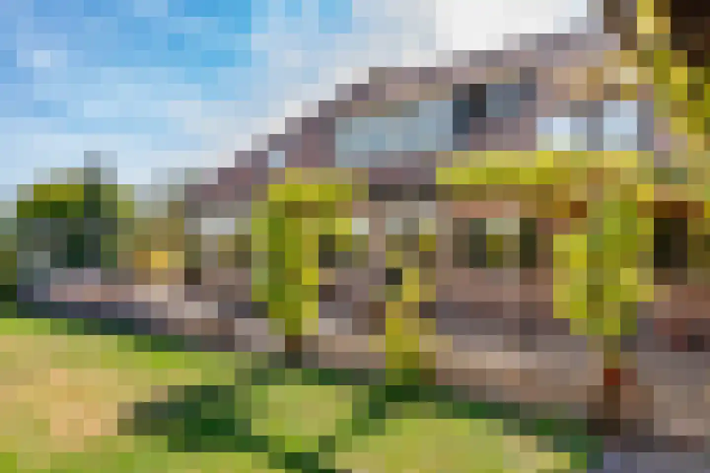 Graafland 51 a Groot-Ammers thumbnail 64