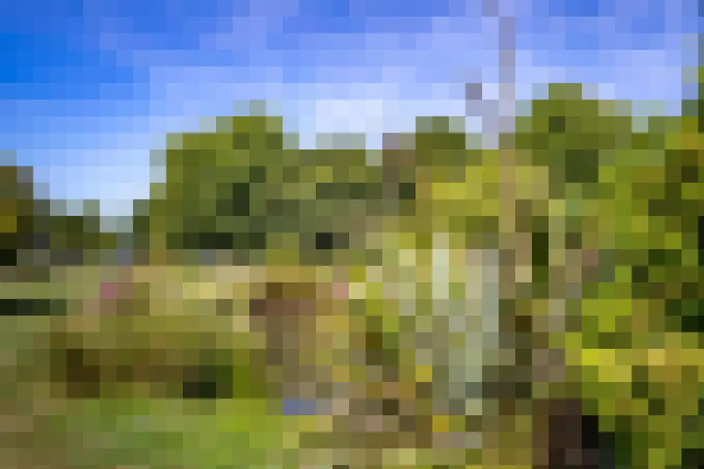 Graafland 51 a Groot-Ammers thumbnail 69