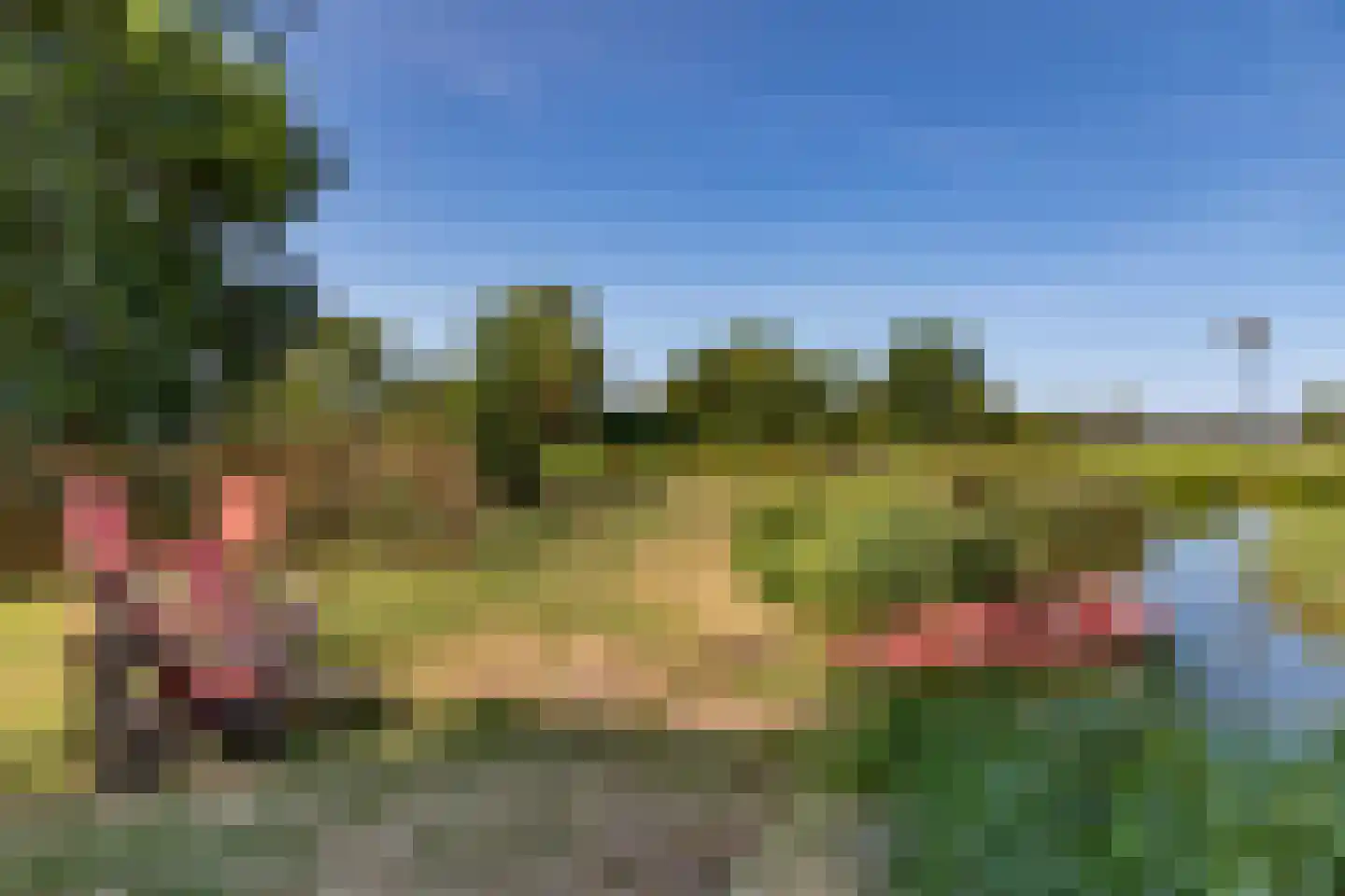 Graafland 51 a Groot-Ammers thumbnail 71