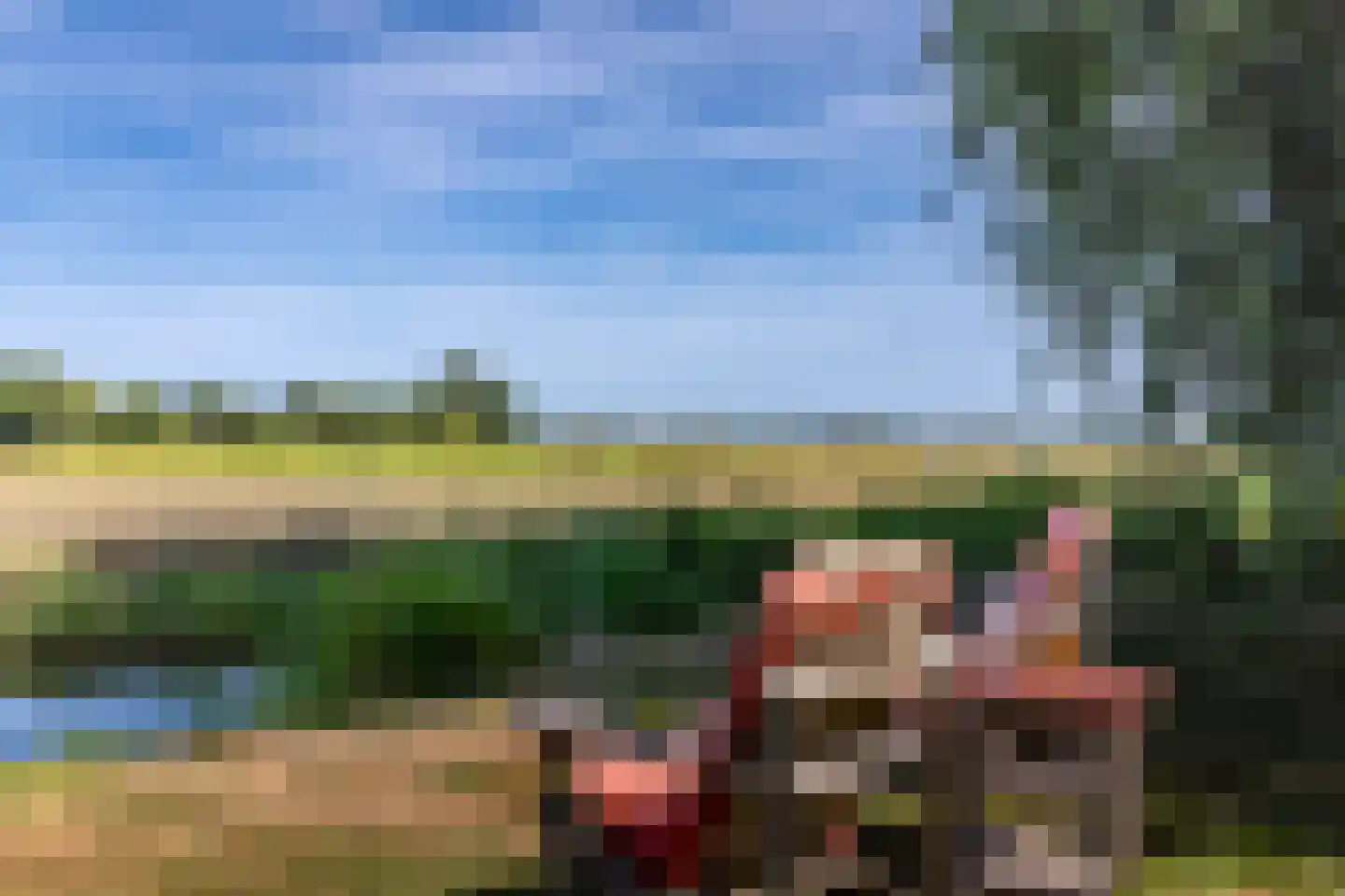 Graafland 51 a Groot-Ammers thumbnail 72