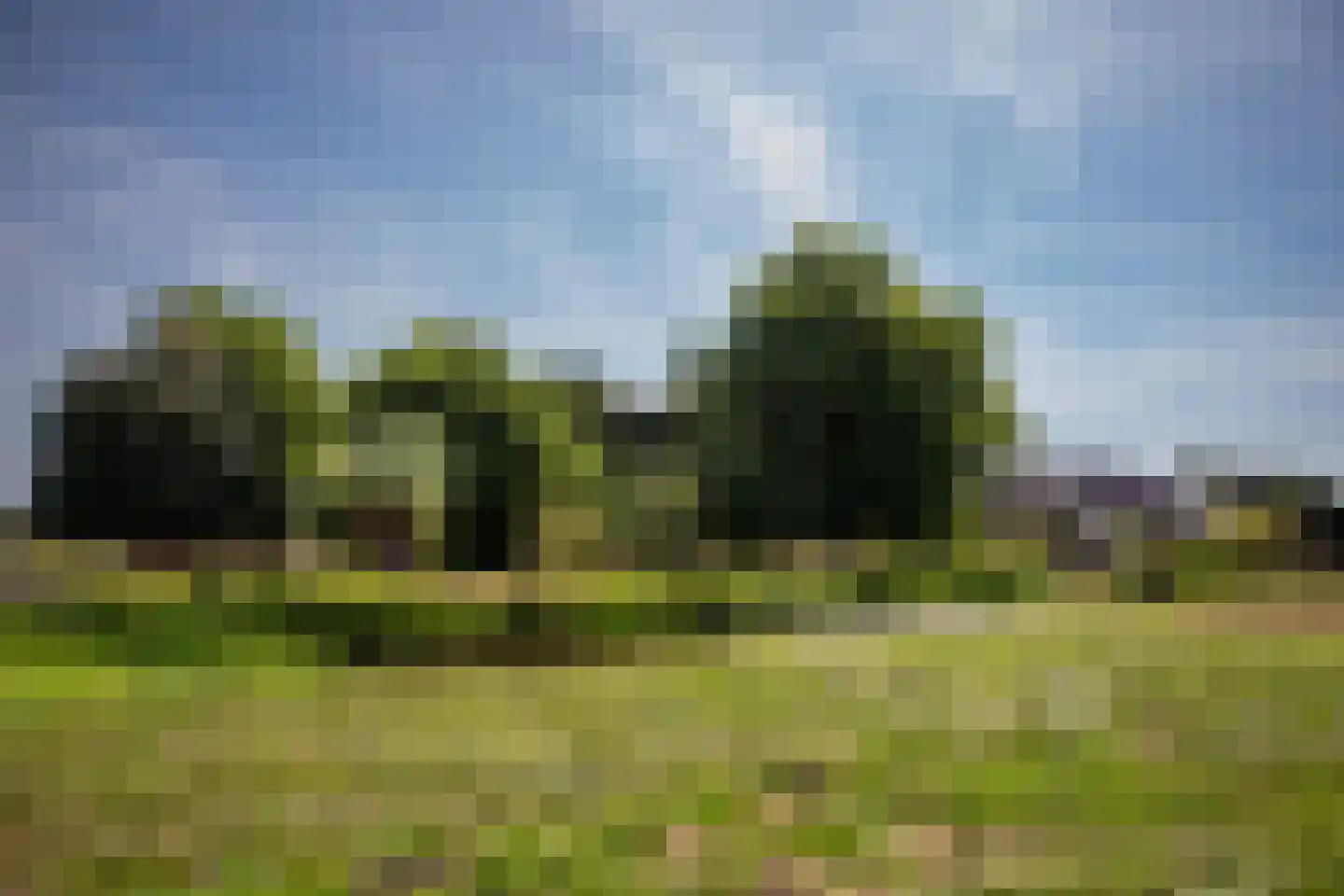 Graafland 51 a Groot-Ammers thumbnail 78
