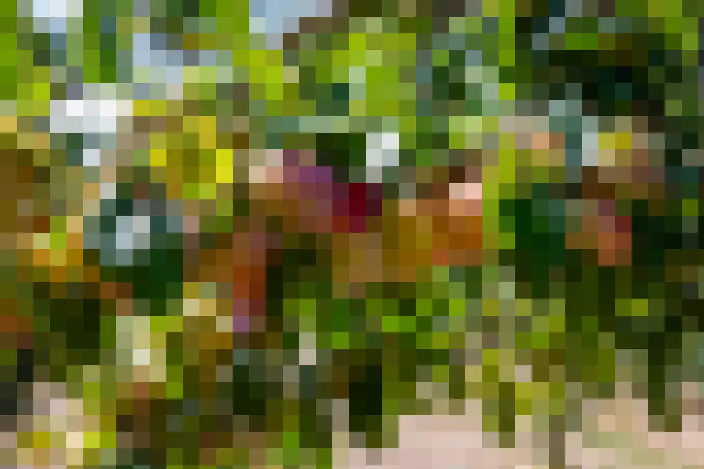 Graafland 51 a Groot-Ammers thumbnail 83