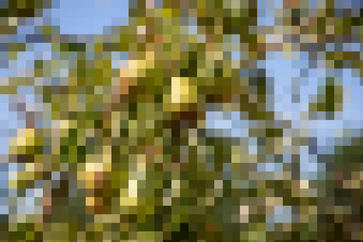 Graafland 51 a Groot-Ammers thumbnail 84