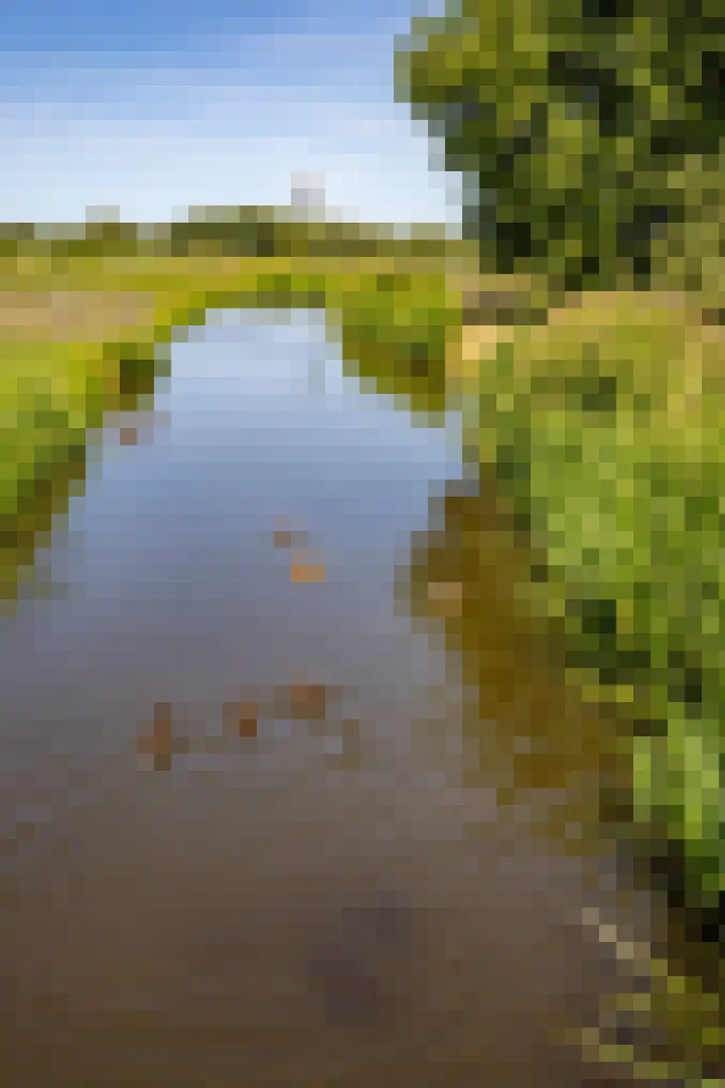 Graafland 51 a Groot-Ammers thumbnail 88