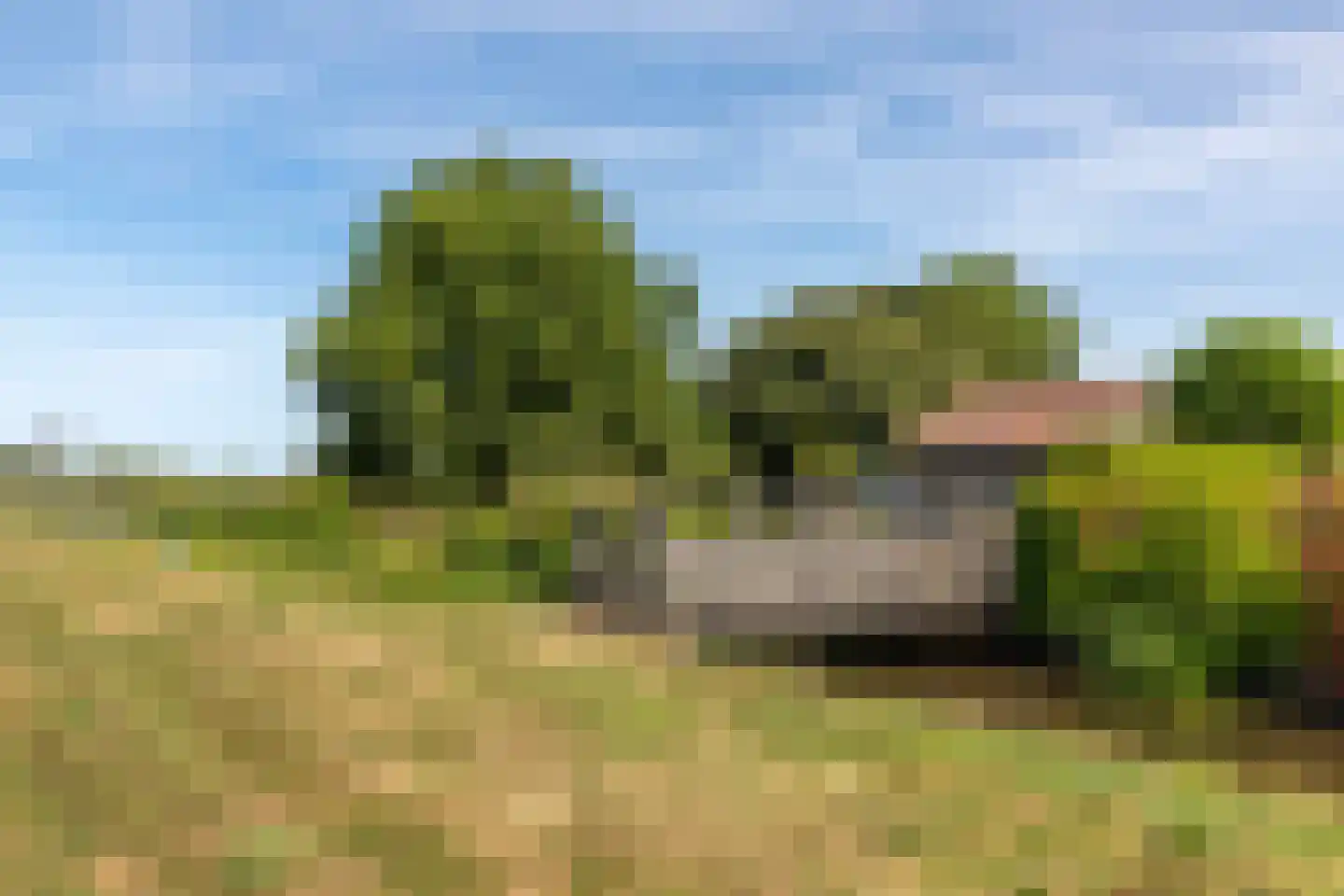 Graafland 51 a Groot-Ammers thumbnail 89