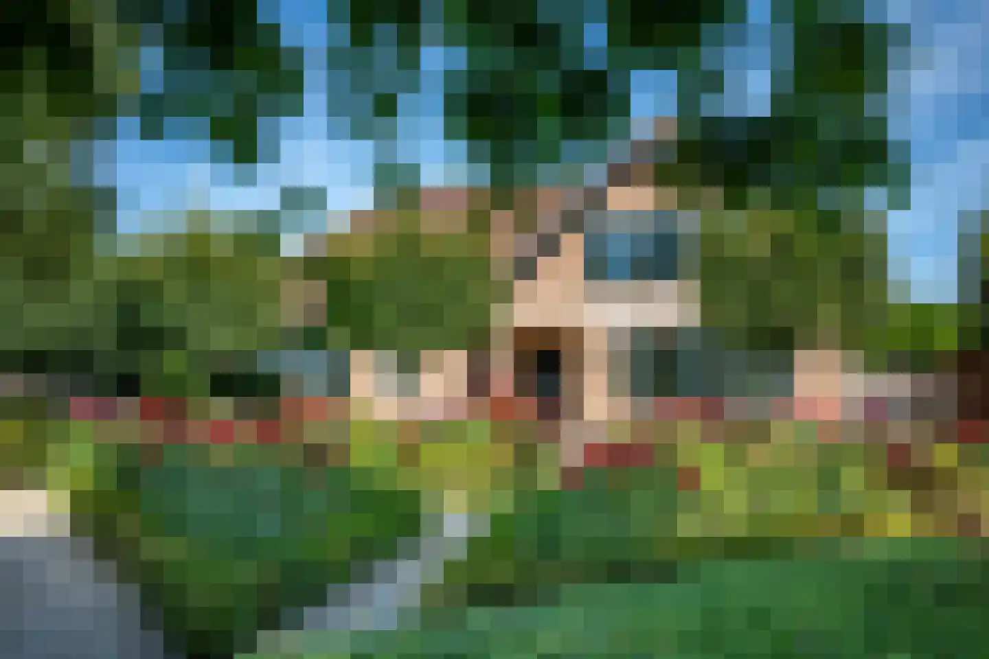 Graafland 51 a Groot-Ammers thumbnail 9