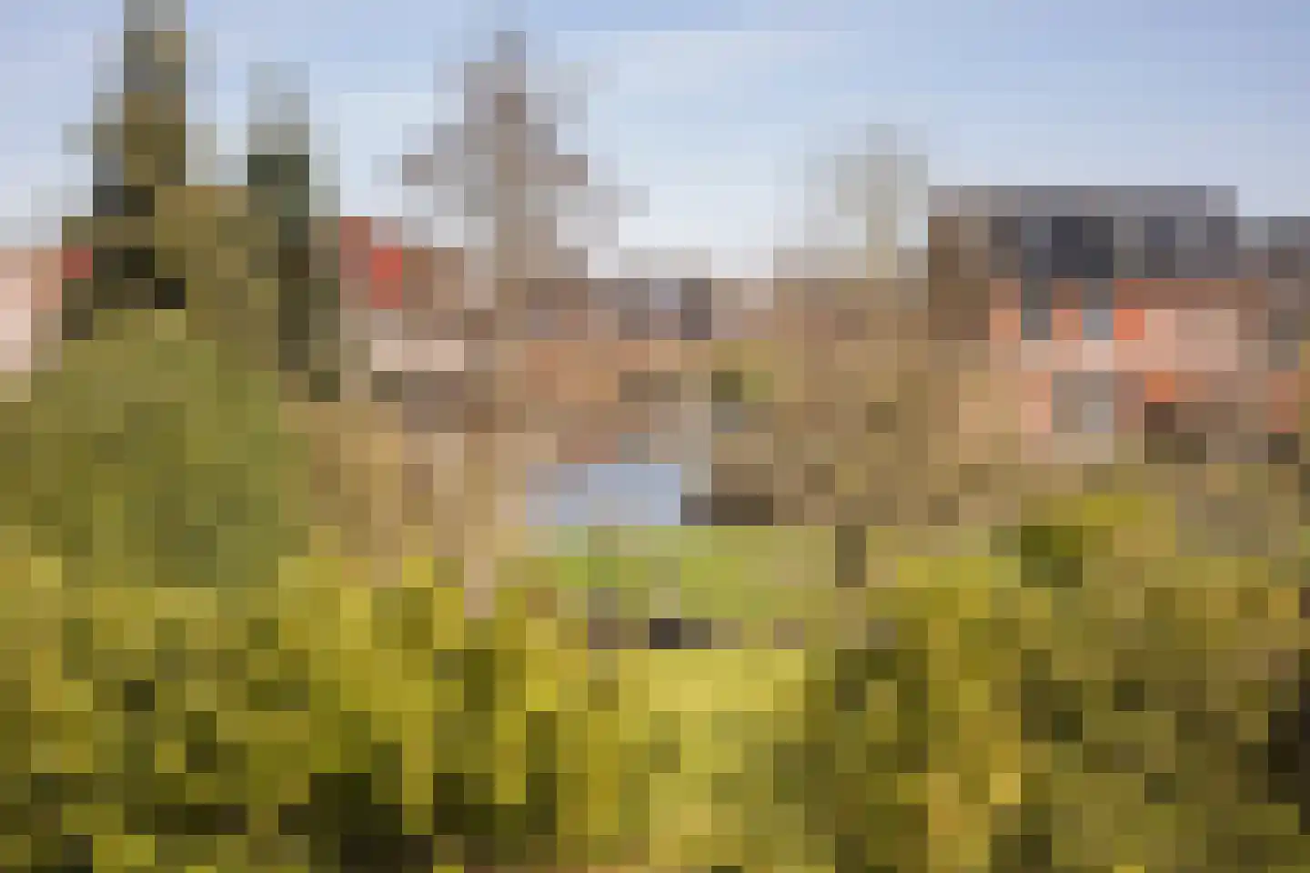 Graafland 8 c Groot-Ammers thumbnail 48