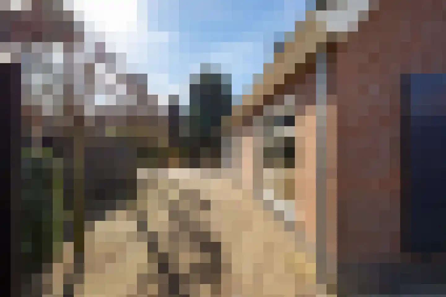 Graafland 8 c Groot-Ammers thumbnail 73