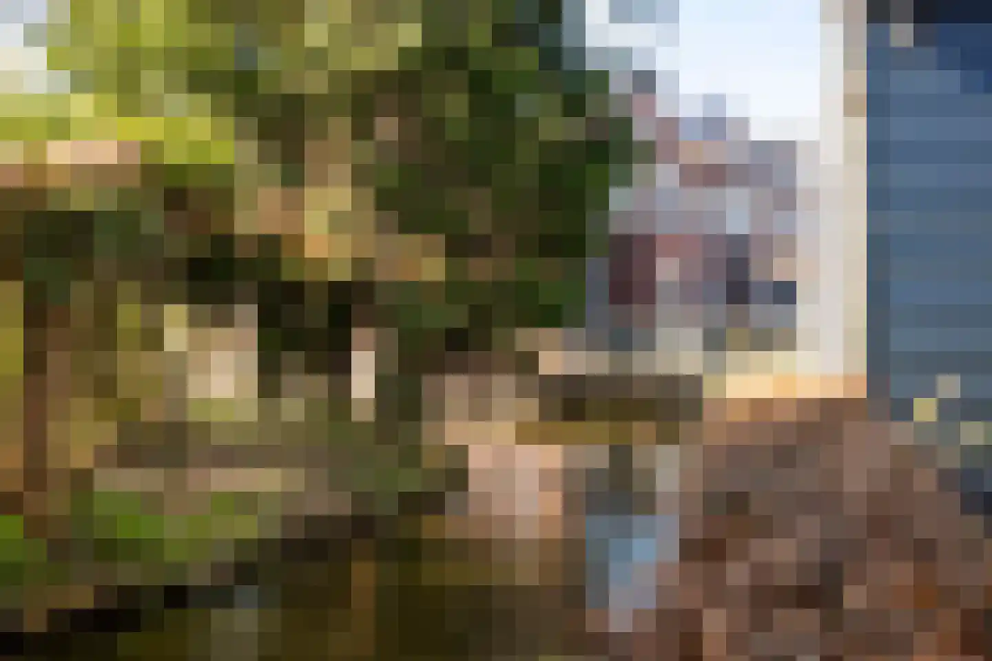 Graafland 8 c Groot-Ammers thumbnail 81