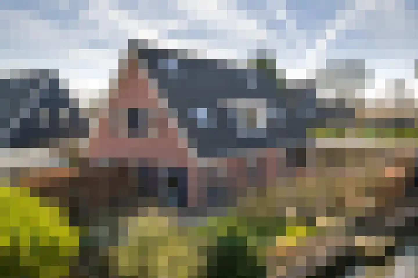 Graafland 8 c Groot-Ammers thumbnail 84