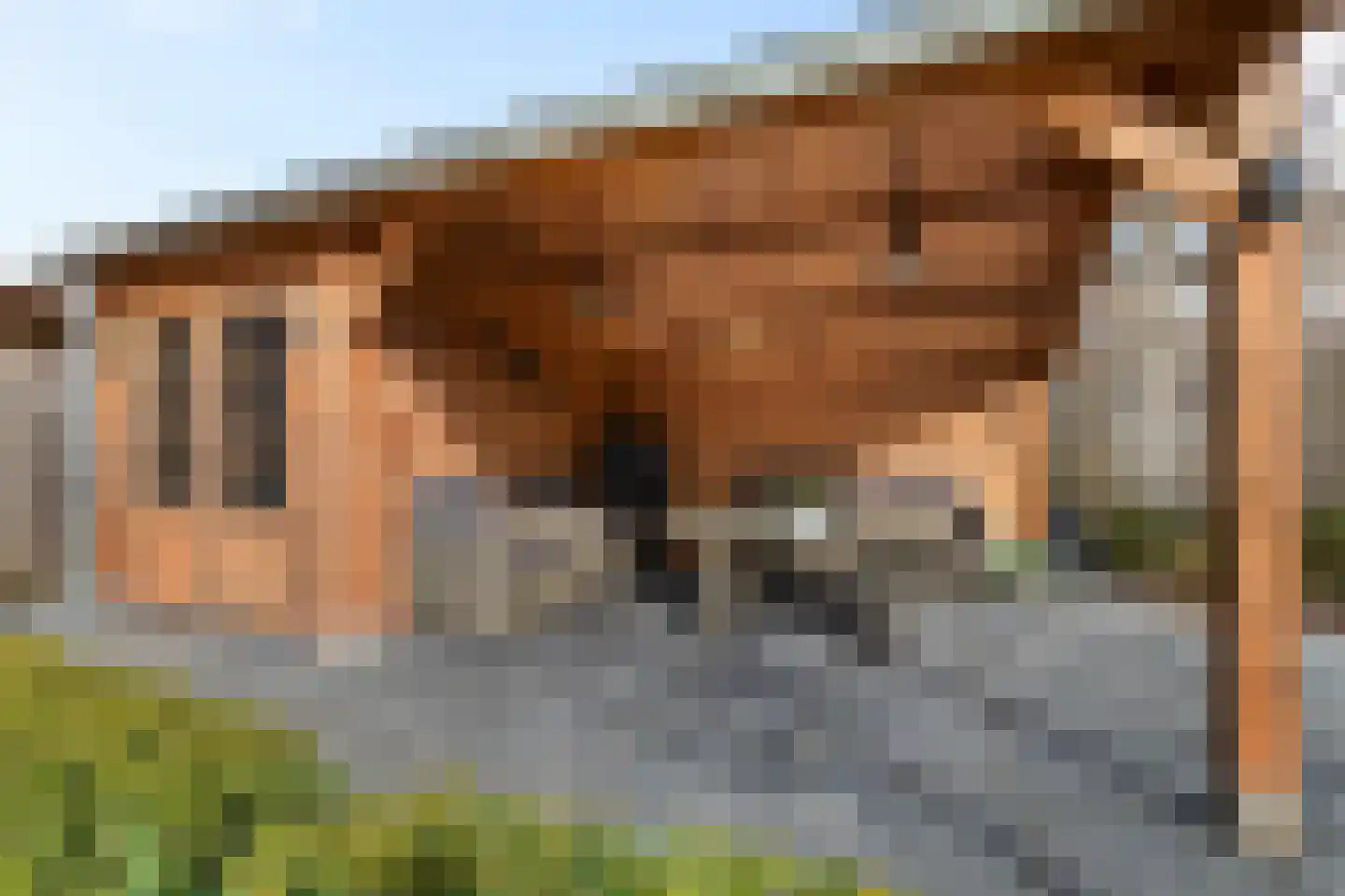 Graafschap 22 Emmeloord thumbnail 33