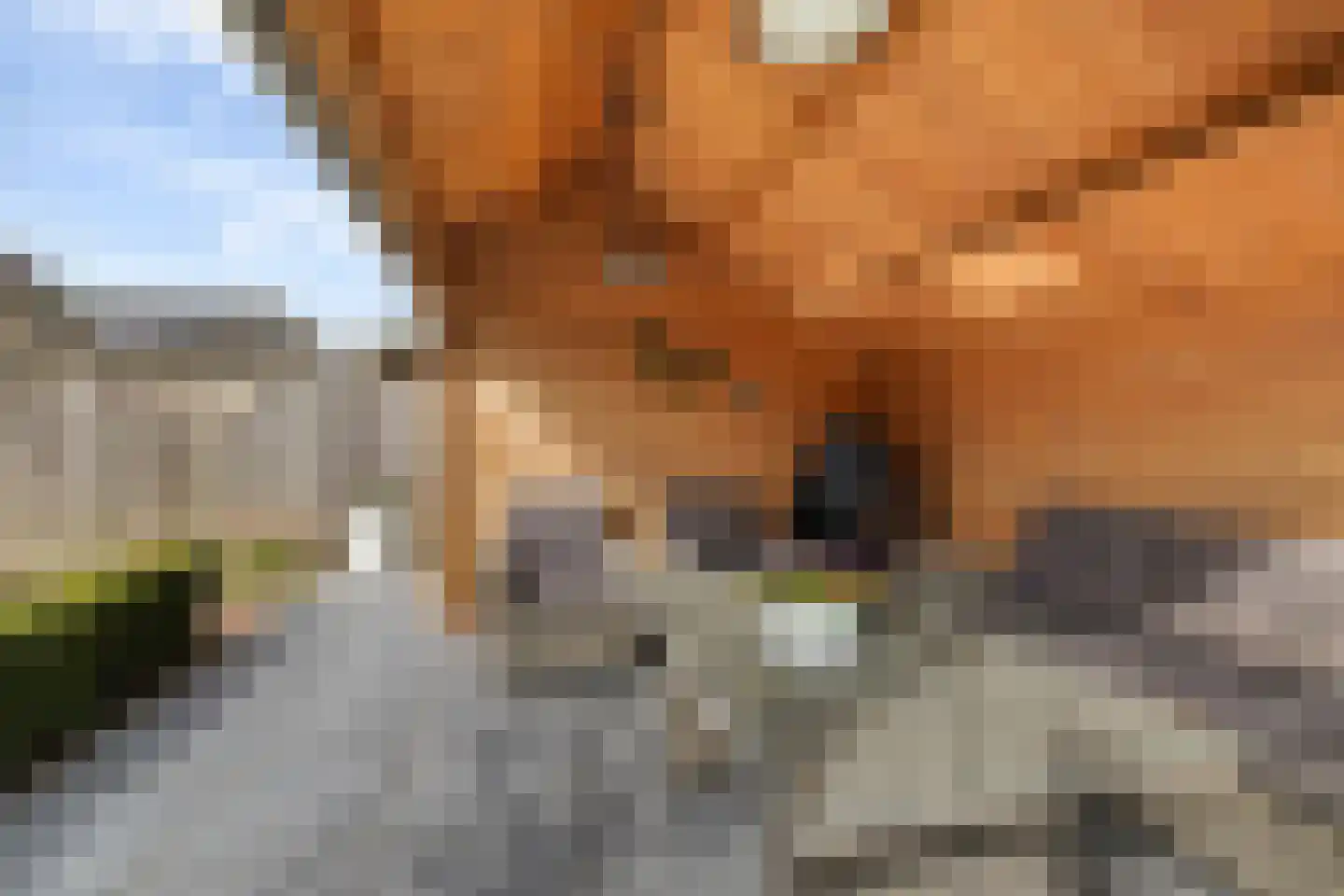 Graafschap 22 Emmeloord thumbnail 35