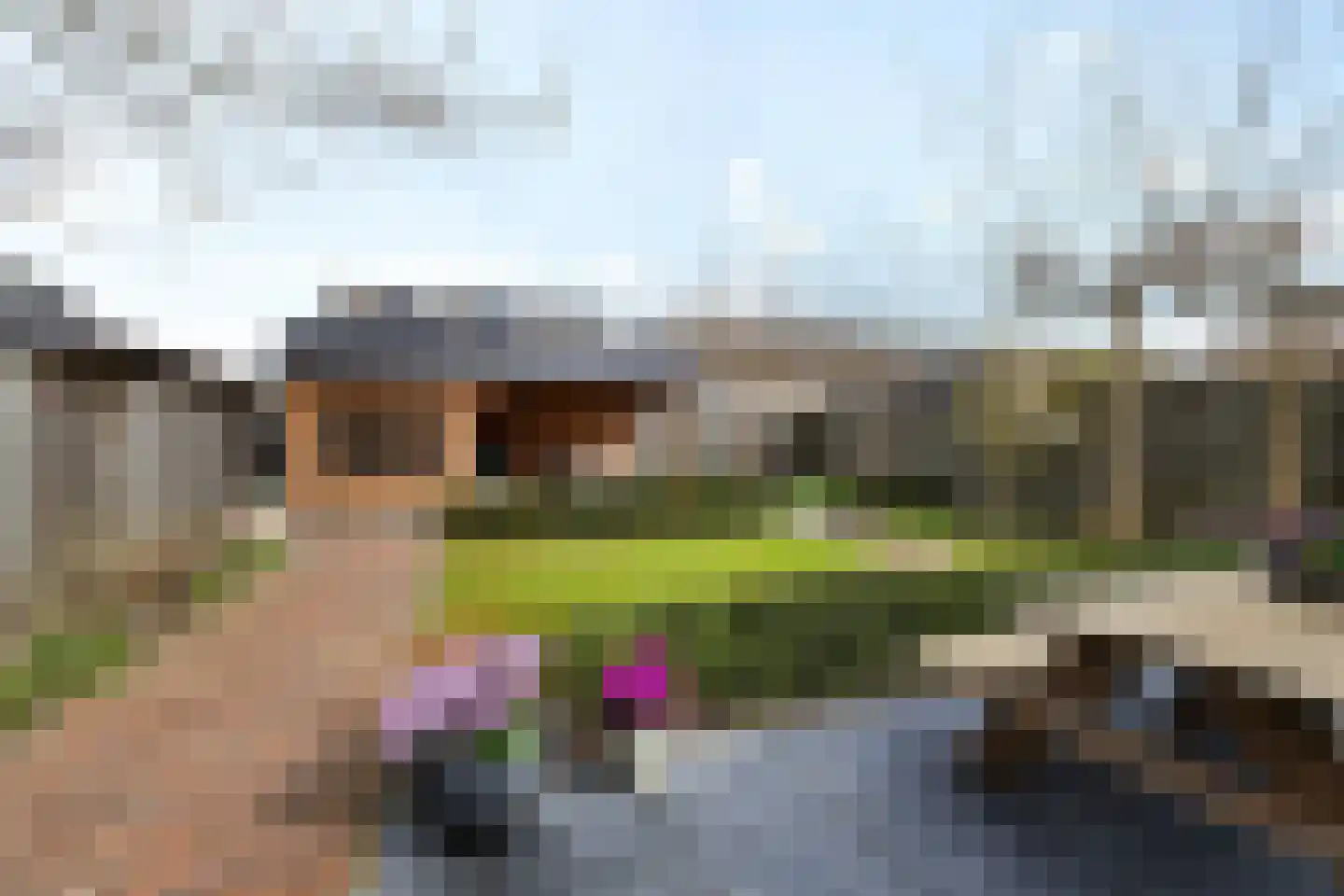 Graafschap 22 Emmeloord thumbnail 38