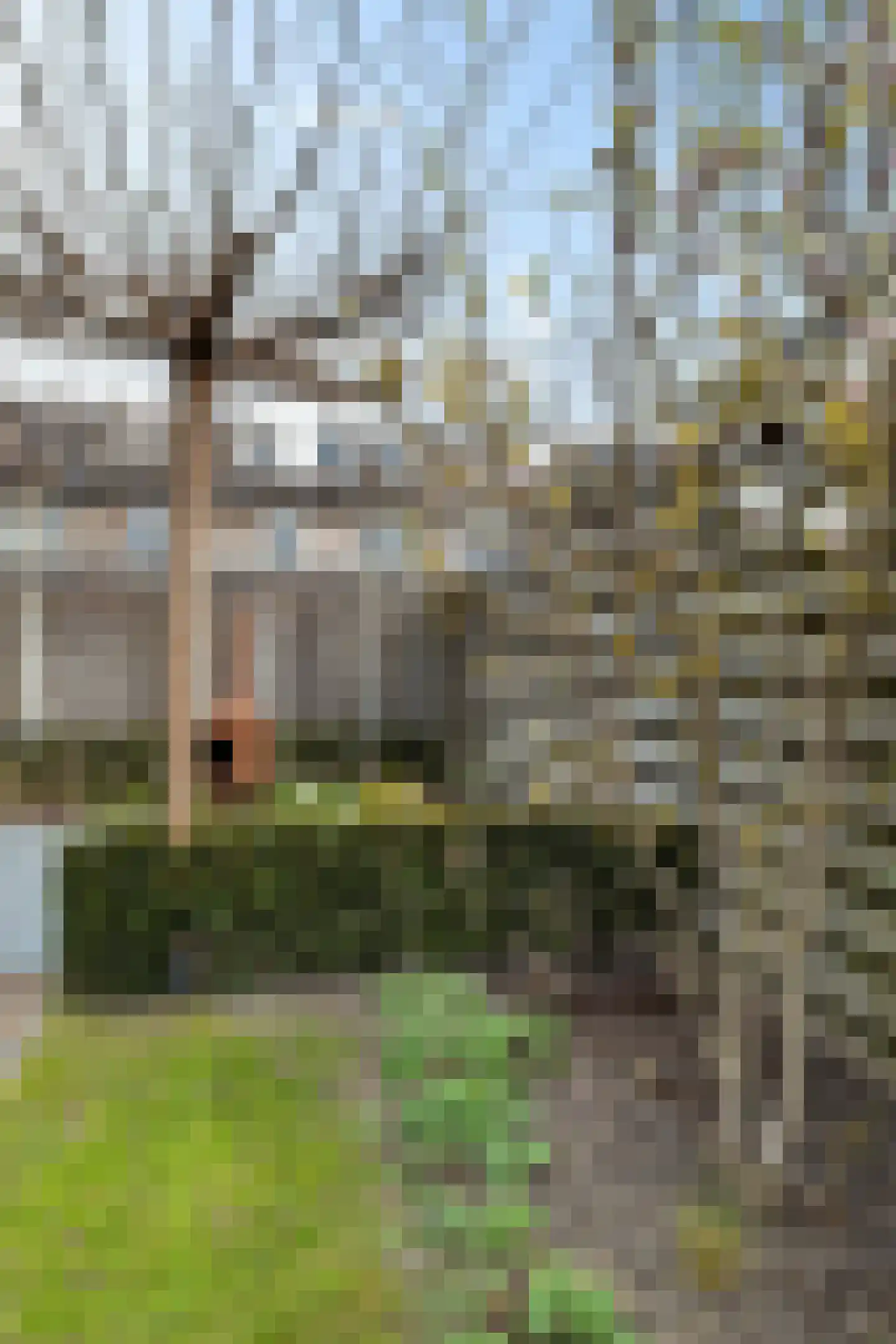 Graafschap 22 Emmeloord thumbnail 40