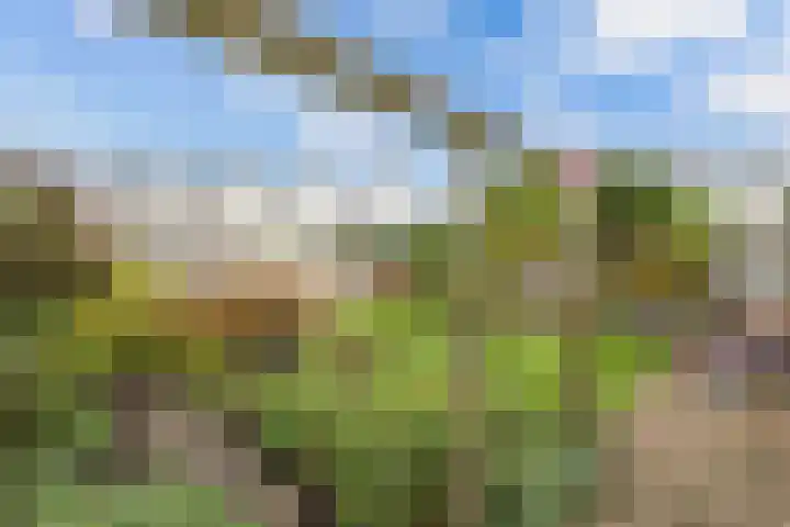 Graafschap 32 Emmeloord thumbnail 33