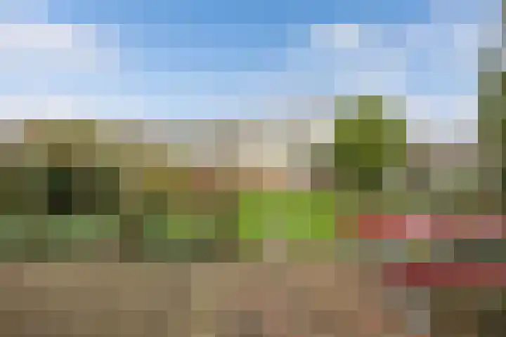 Graafschap 32 Emmeloord thumbnail 34