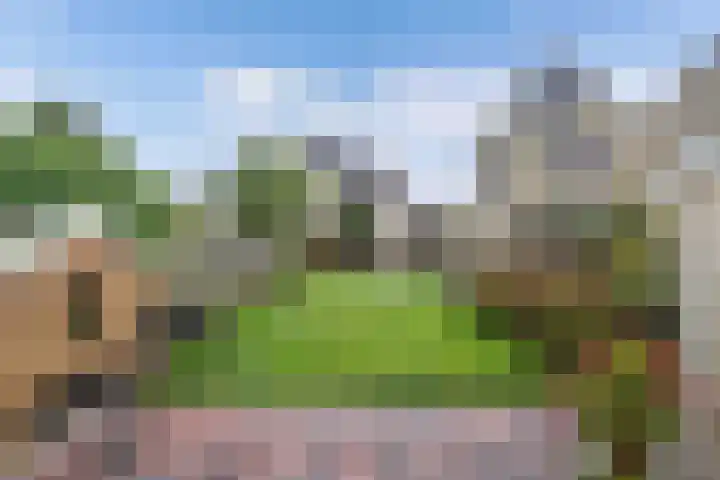 Graafschap 32 Emmeloord thumbnail 35
