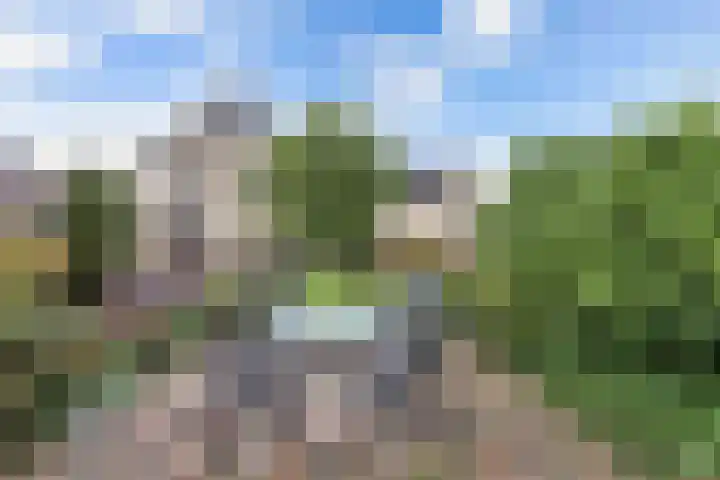 Graafschap 32 Emmeloord thumbnail 38