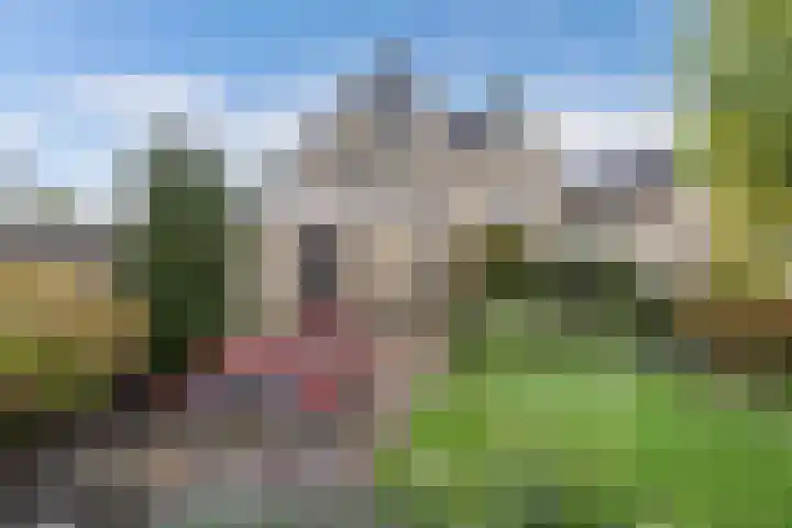 Graafschap 32 Emmeloord thumbnail 39