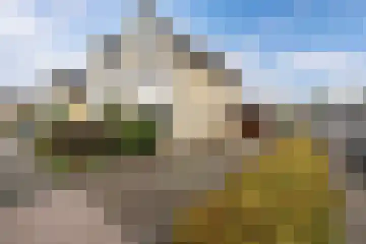 Graafschap 32 Emmeloord thumbnail 4