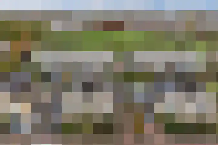 Graafschap 32 Emmeloord thumbnail 43