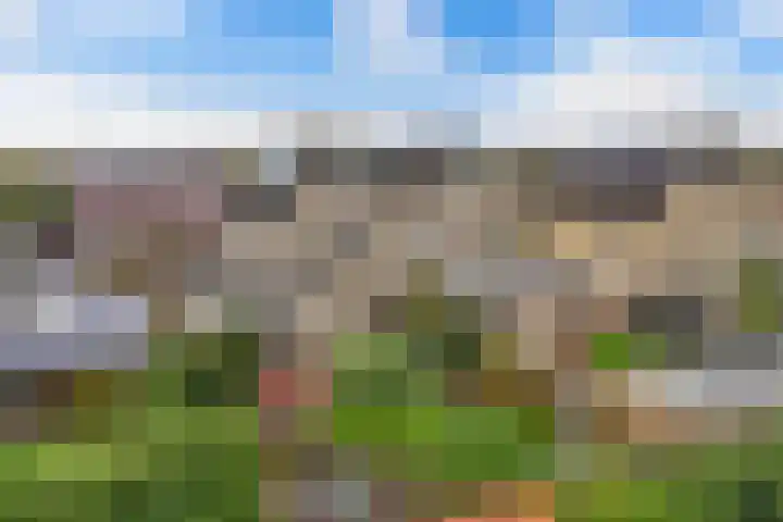 Graafschap 32 Emmeloord thumbnail 44