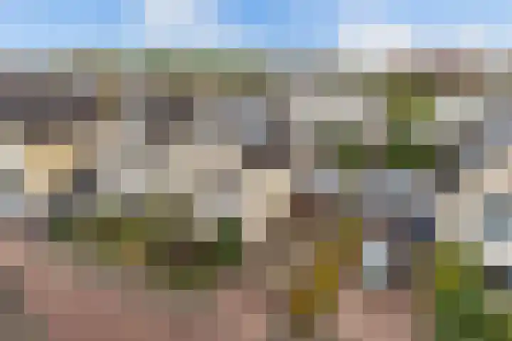 Graafschap 32 Emmeloord thumbnail 5
