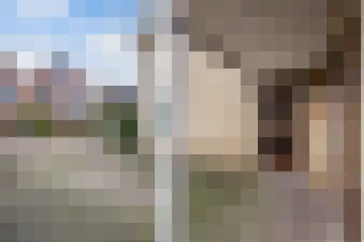 Graafschap 32 Emmeloord thumbnail 7