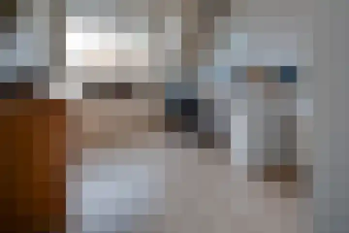 Graafschap 39 Assen thumbnail 22