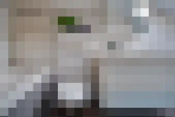 Graafschap 39 Assen thumbnail 24